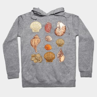 Seashells Hoodie